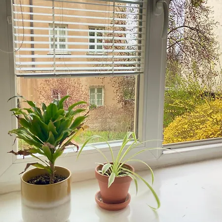 Feel Like At Apartmán *